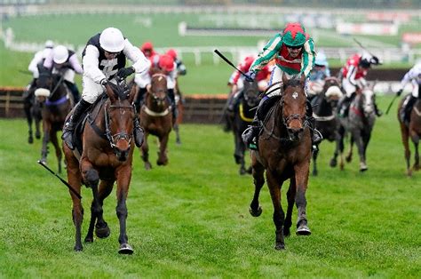 2024 County Handicap Hurdle Odds, Race Card, Tips & Results.